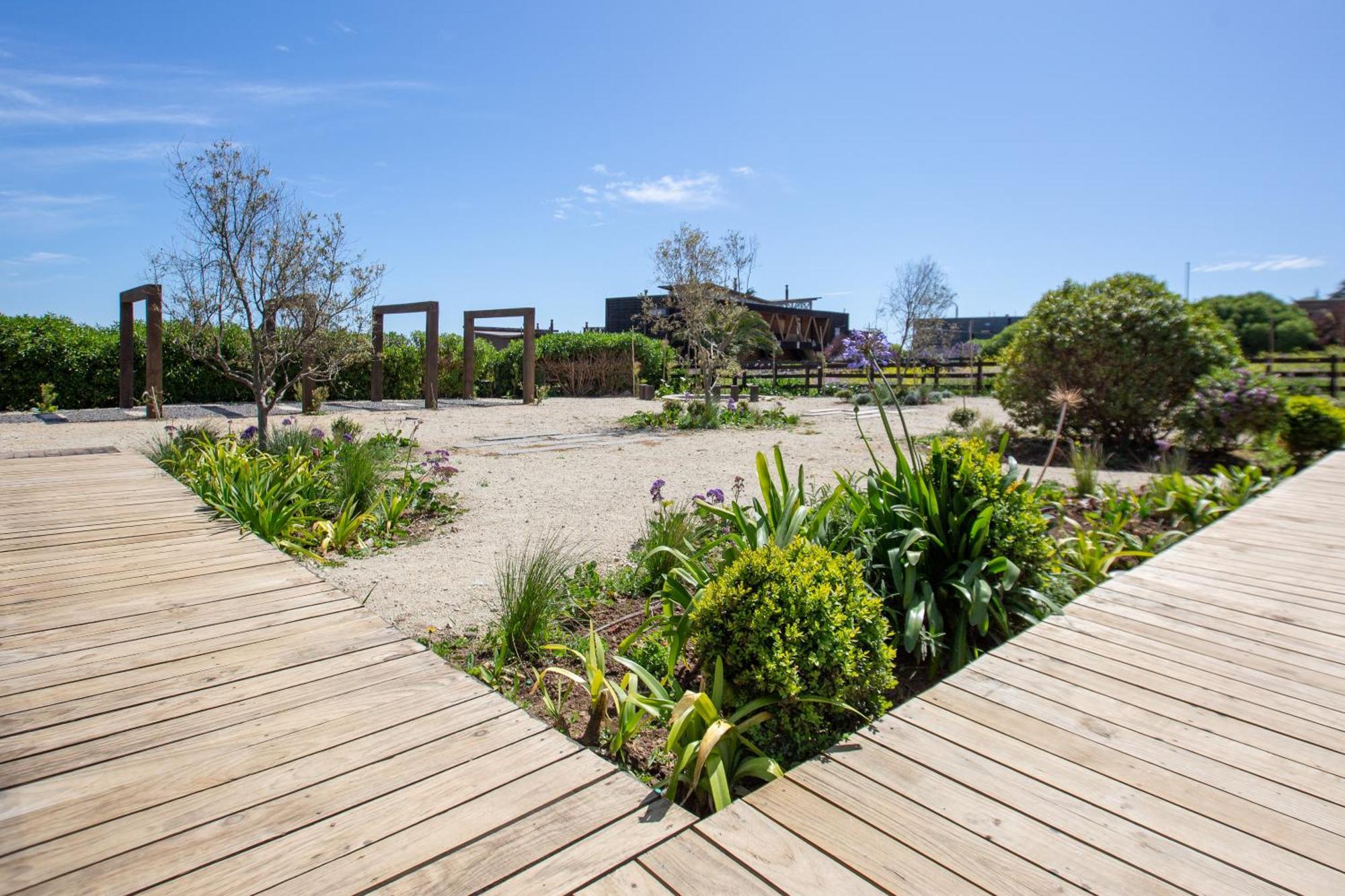 Refugio Lobos Villa Pichilemu Eksteriør billede