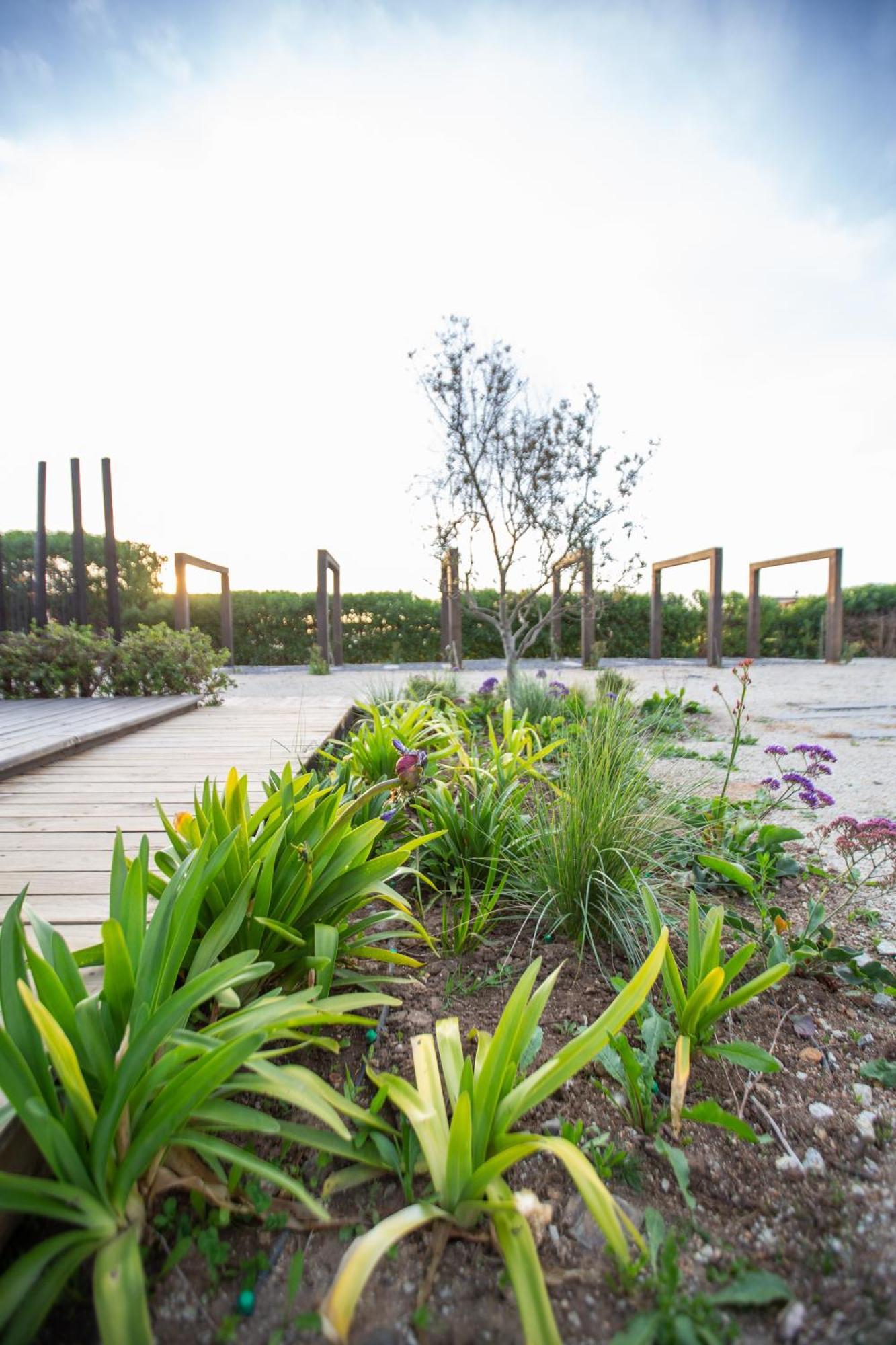 Refugio Lobos Villa Pichilemu Eksteriør billede
